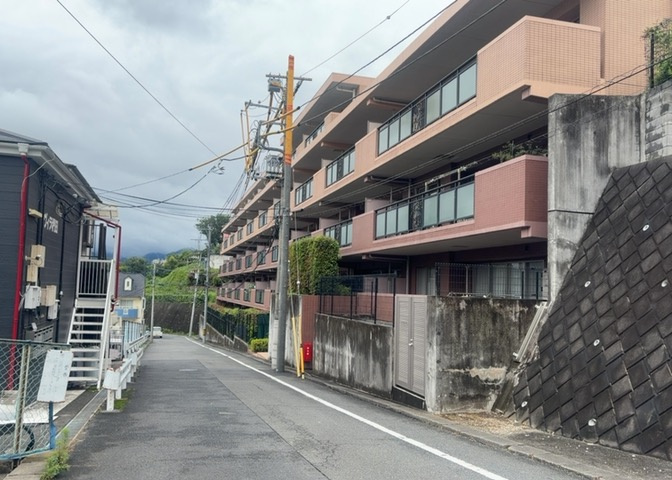 外観：313004737807
