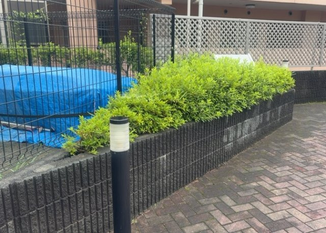中庭（パティオ）とは、一つの建築物の内部に設けられた、壁などで囲われている庭のことを指します。コの字型、ロの字型が主流ですが、L字型の中庭もあります。最近では、インテリア性の高さからも人気があります。