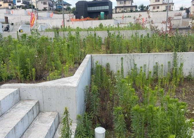 隣家の土地はどうなっているのか、生活利便施設が近くにあるのか、学校まで近いかなど、お客様のライフスタイルにあわせたイメージが重要です。また、近くにあると困る施設が近くにないかも確認するといいでしょう。