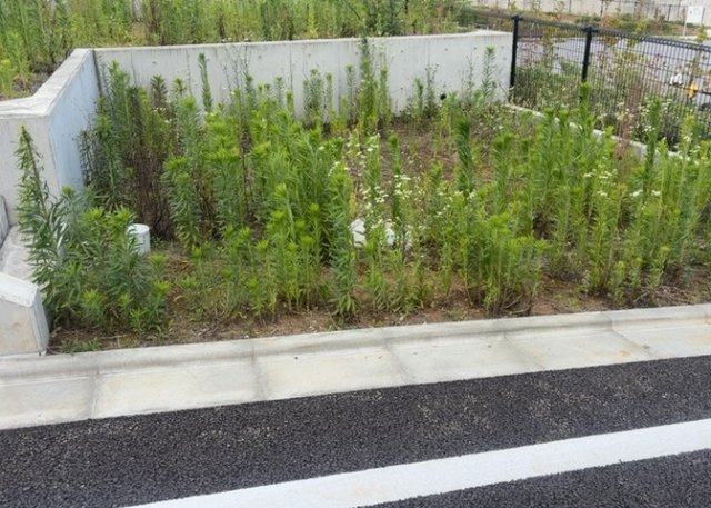 土地購入を検討されている場合、境界杭がない状態で購入してしまうと境界確定測量をする必要があり、費用がかかります。購入の前に、売主、隣土地所有者立ち合いのもと境界を確定し境界杭を設置するのがベストです。