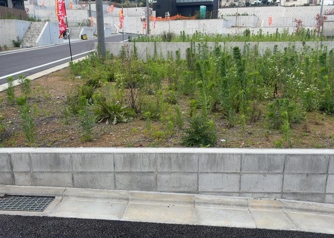 家を建てる前提で土地を探している場合、地盤の丈夫さは譲れない条件の一つです。地盤が脆弱だと追加工事が必要となります。また、過去に地盤沈下や液状化現象を起こした土地は、できるだけ避けた方がいいでしょう。