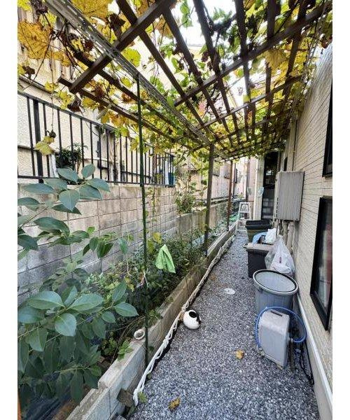 お庭でも家庭菜園出来ちゃう！