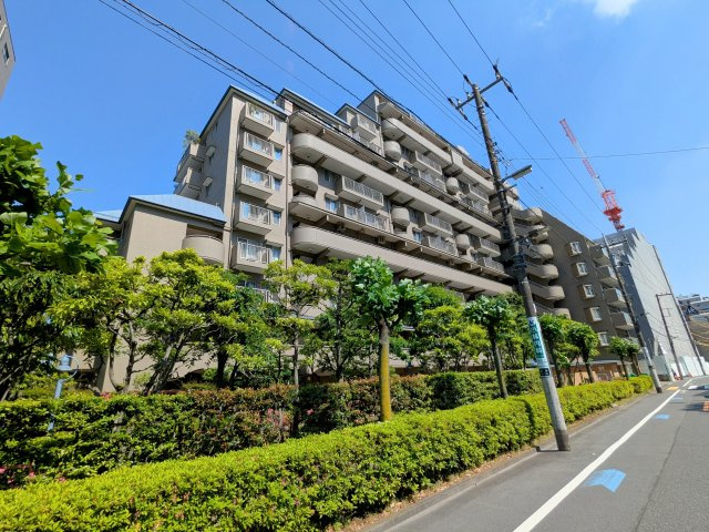 外観：313004734957