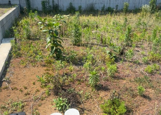 土地を買う際、住む地域の自治体や福祉の補助制度にも注目してみましょう。子供や老人の医療補助やゴミ出しのルールなど、自治体によってルールに大きな違いがあるため、暮らしやすい土地で判断するとよいでしょう。
