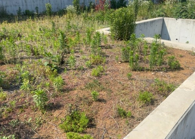 土地探しをしていると都市計画区域という言葉を目にすると思います。法律によって、都道府県知事や国土交通大臣が指定するエリアのことを指しており、都市計画区域は市街化区域と市街化調整区域に分けられています。
