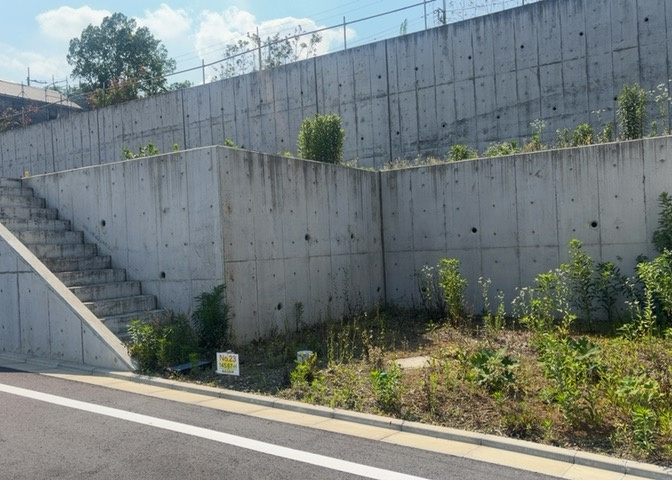 外観：313004773120