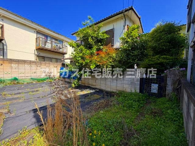 外観：313004698101