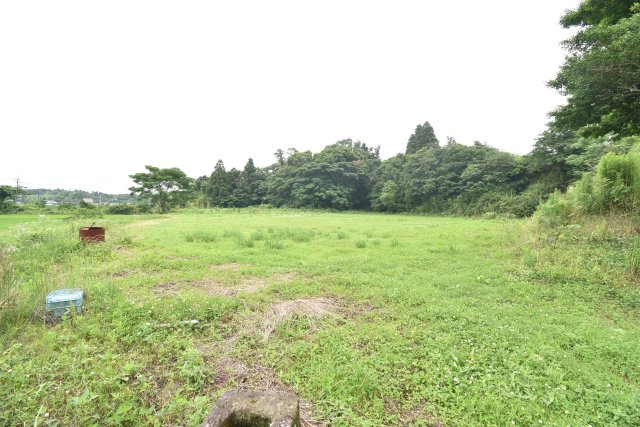 外観：346000014868