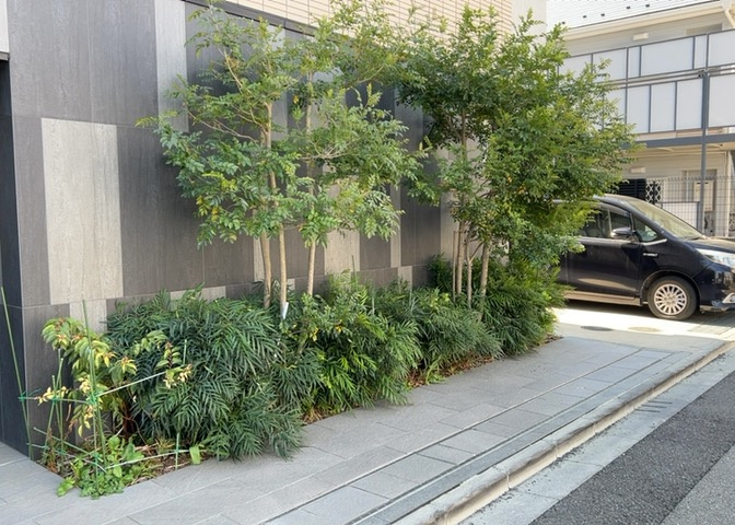 中庭（パティオ）とは、一つの建築物の内部に設けられた、壁などで囲われている庭のことを指します。コの字型、ロの字型が主流ですが、L字型の中庭もあります。最近では、インテリア性の高さからも人気があります。