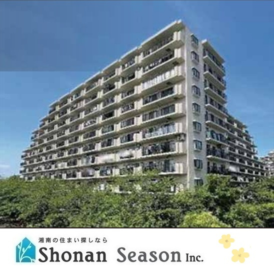 外観：314002691254