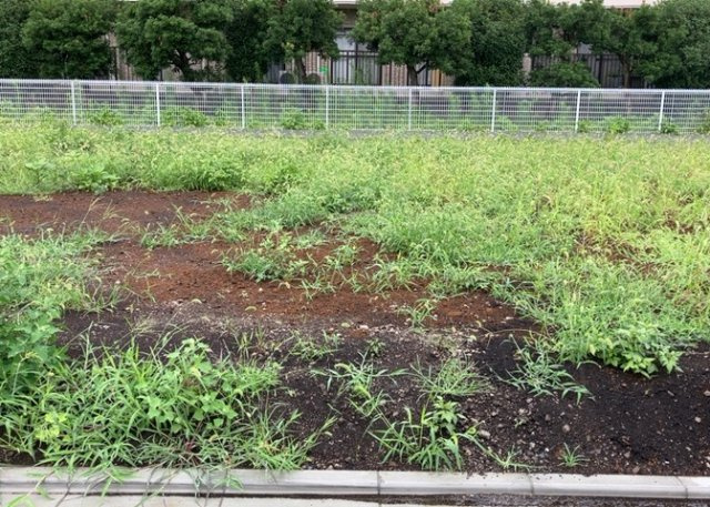 外観：314002369211