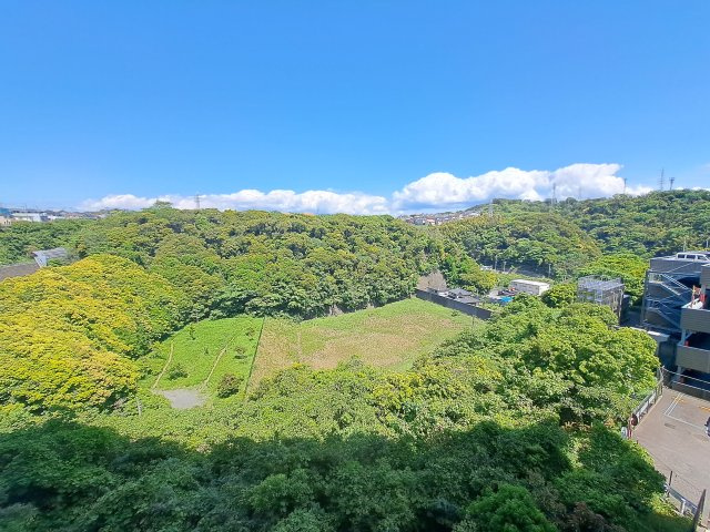 展望