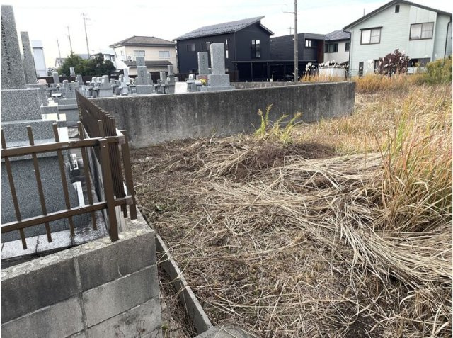 現地写真？