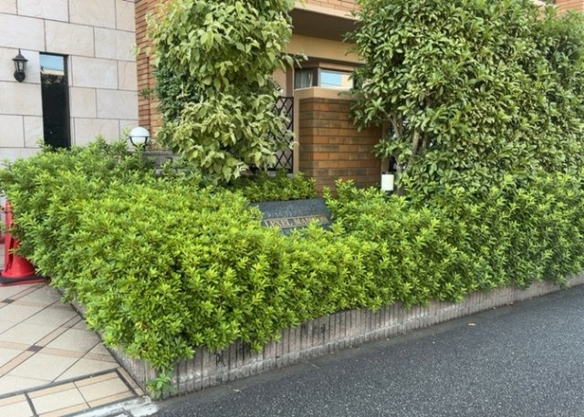 物件によっては、入居者が個人的に使用できる専用庭がついているものもあります。また、住宅の中にある土間の部分を庭と呼ぶこともあります。庭の用途は住む人によって変わり、それによってデザインもさまざまです。