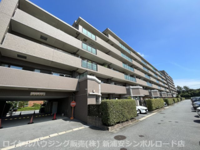 外観：312001216114