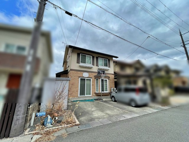 現地写真