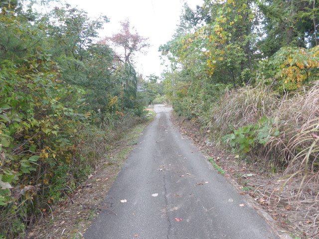 全面道路　1m
