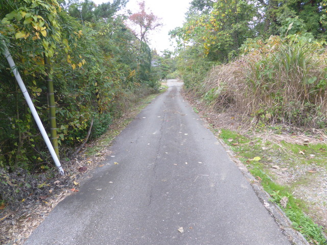 全面道路　1m