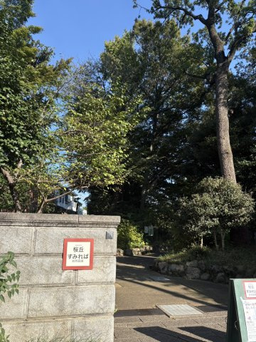 世田谷区立桜丘すみれば自然庭園