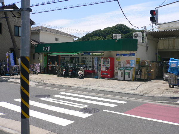 【レイディアントシティ横濱カルティエ6の周辺】