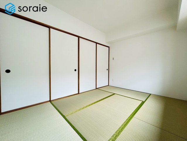 2026/5/8撮影