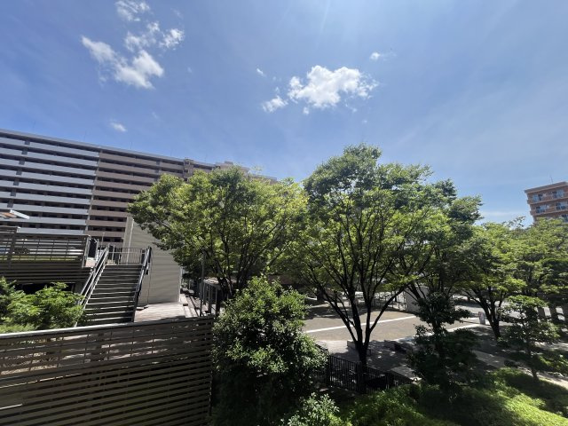 展望