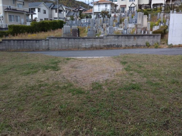 外観：328000549127