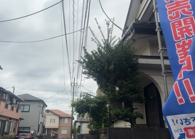 桜や紅葉の名所に出かける人は多いと思いますが、家にいながら季節の移ろいを感じる生活を送りませんか？リビングや窓から見える景色が生活を彩るワンポイントに！現地から見える景色を堪能してみては如何でしょう。