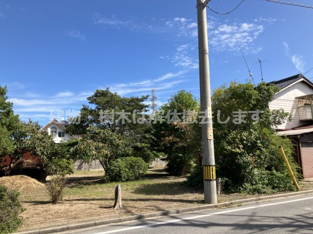 外観：331000011530