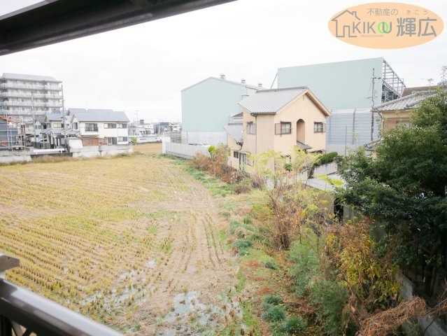 展望