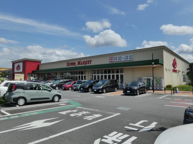スーパーアルプス大和田店　夜21時半まで営業しており、お仕事帰りのお買い物にも大変便利です。日々の食生活を支える心強い商業施設が物件のすぐ近くにあります。