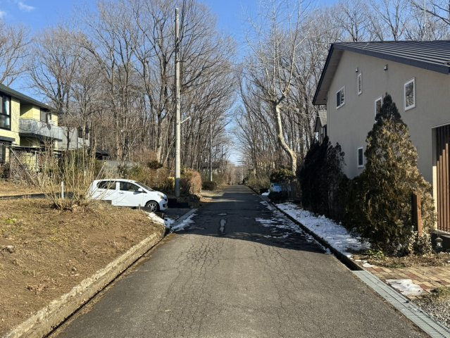 前面道路含む現地写真です