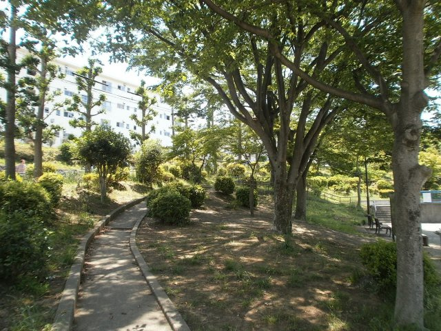 南長津田公園の散歩道