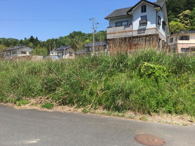 外観：328000618704