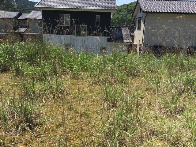 敷地中央からみた景色