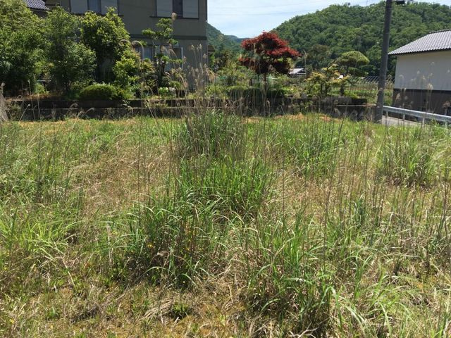 敷地中央からみた景色