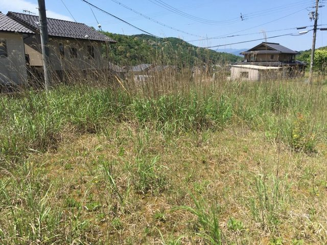 敷地中央からみた景色