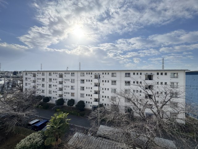 展望