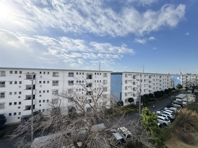 展望