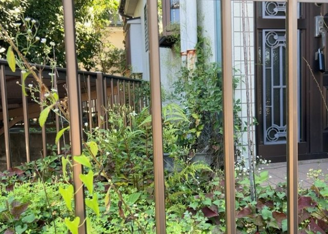 庭があることでガーデニングや家庭菜園はもちろん、こどもの遊び場やペットを放して遊ぶことができます。また、家の周囲に余裕があるということです。隣地との間があれば、十分な日当たりと、風通しが確保できます。