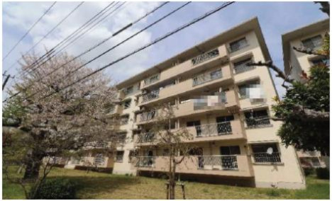 外観：311002345463