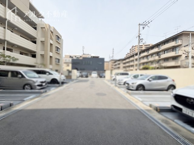 2026年3月撮影