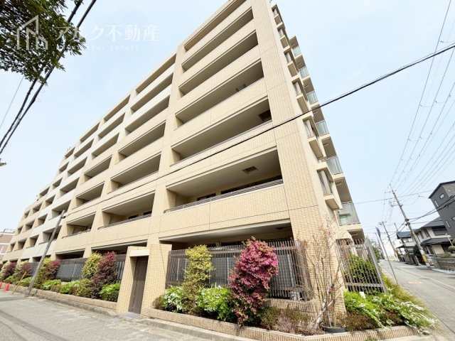 2026年3月撮影
