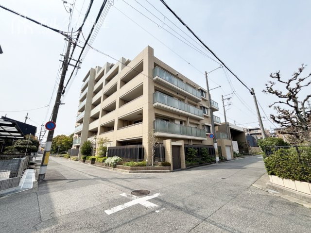 2026年3月撮影
