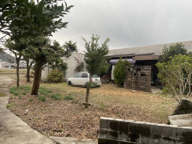 令和7年1月撮影