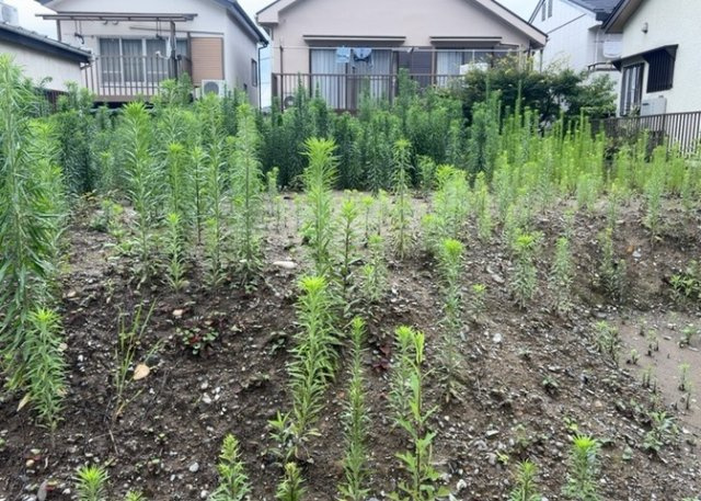 土地の形が極端に長細かったり、狭小地、あるいは道路との高低差がある傾斜地だった場合、後々売ろうとしても買い手がつかない場合もあります。後々、売却することになった時に価値の下がらない土地を選びましょう。