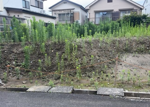 土地探しをしていると都市計画区域という言葉を目にすると思います。法律によって、都道府県知事や国土交通大臣が指定するエリアのことを指しており、都市計画区域は市街化区域と市街化調整区域に分けられています。