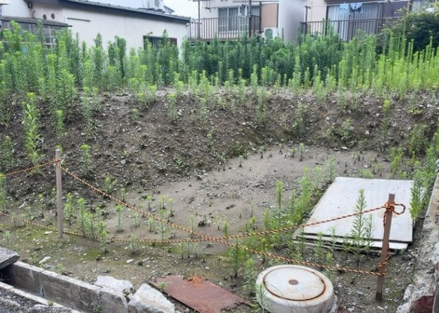 隣家の土地はどうなっているのか、生活利便施設が近くにあるのか、学校まで近いかなど、お客様のライフスタイルにあわせたイメージが重要です。また、近くにあると困る施設が近くにないかも確認するといいでしょう。