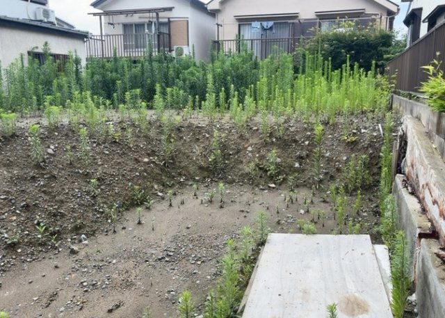 土地購入を検討されている場合、境界杭がない状態で購入してしまうと境界確定測量をする必要があり、費用がかかります。購入の前に、売主、隣土地所有者立ち合いのもと境界を確定し境界杭を設置するのがベストです。
