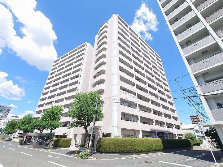 外観：334000243115